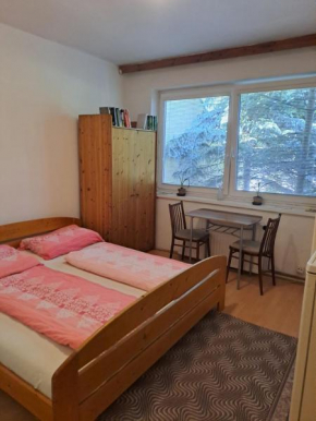 Apartmán na Jižní, Olomouc